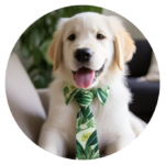 GB's Online Marketing Dog Sammy as a Puppy