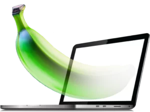 Google Ads and digital with GreenBananaSEO