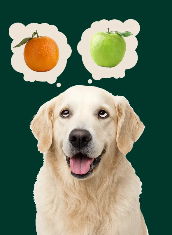 Video 7- AEO and GEO are NOT the same thing!